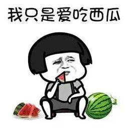 娱乐吃瓜可信吗,可信度几何？